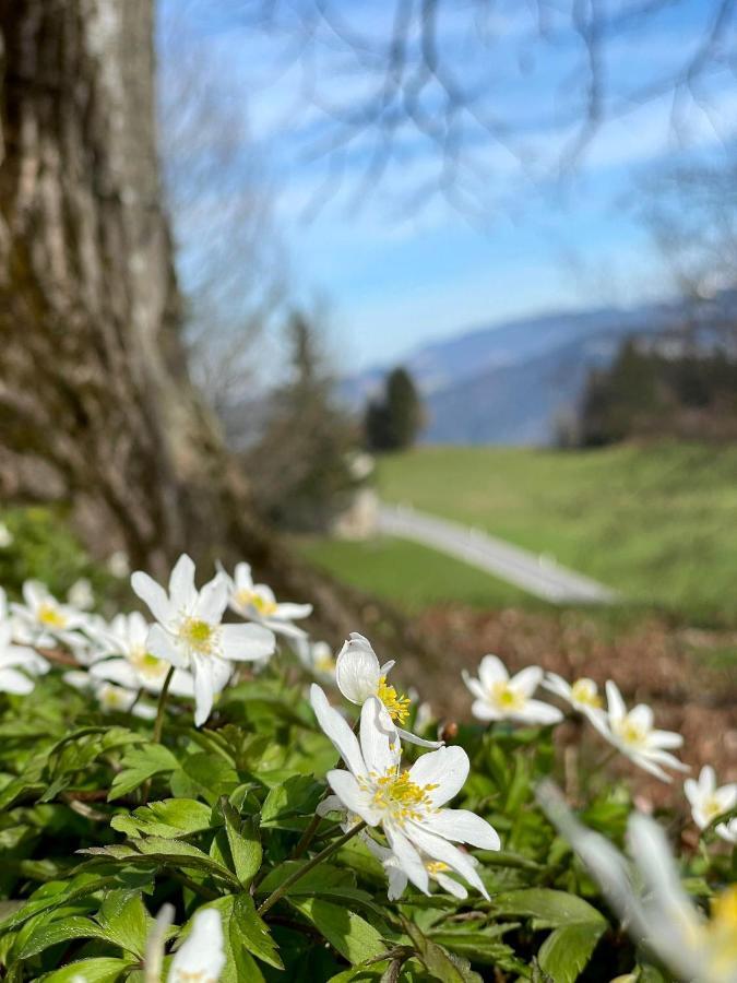 Pension Bilgeri Sulzberg  Dış mekan fotoğraf